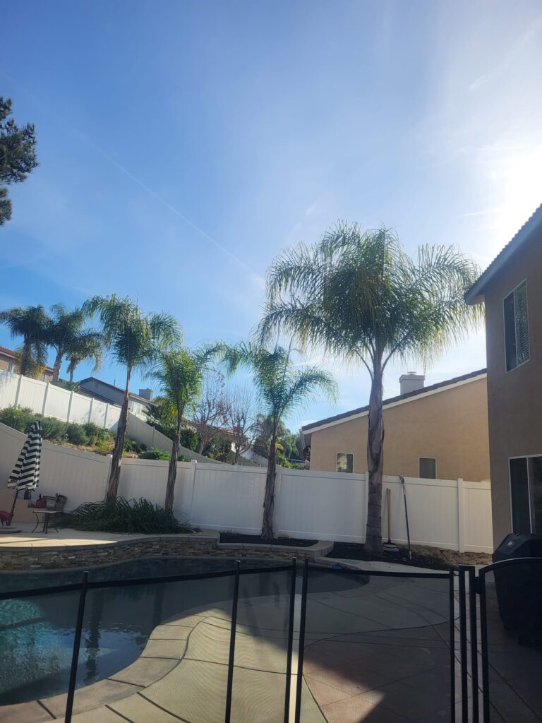 65ac0467 561a 45e0 931a fa9f401cc67b