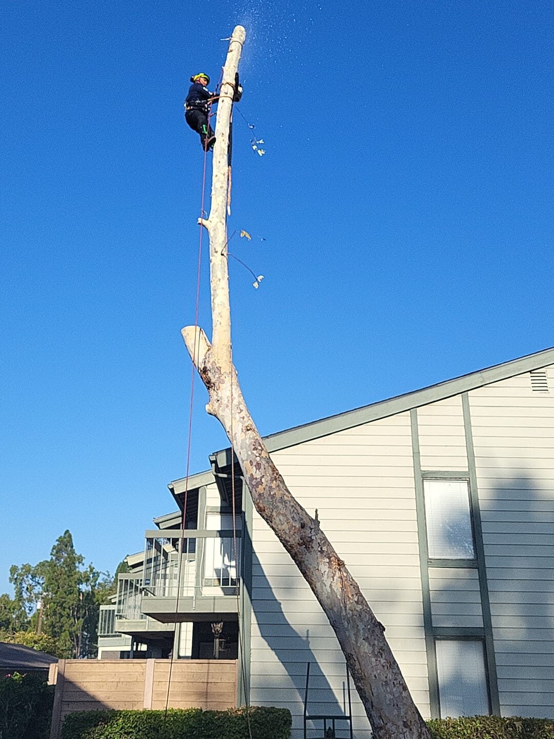 c51a7d84 7a36 45a9 ba5d 58ae6166cef0