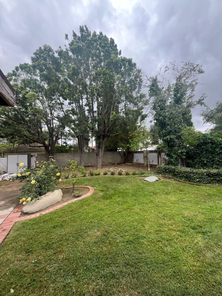 c54b4c14 7798 49f1 a49b ce52a3bb239b