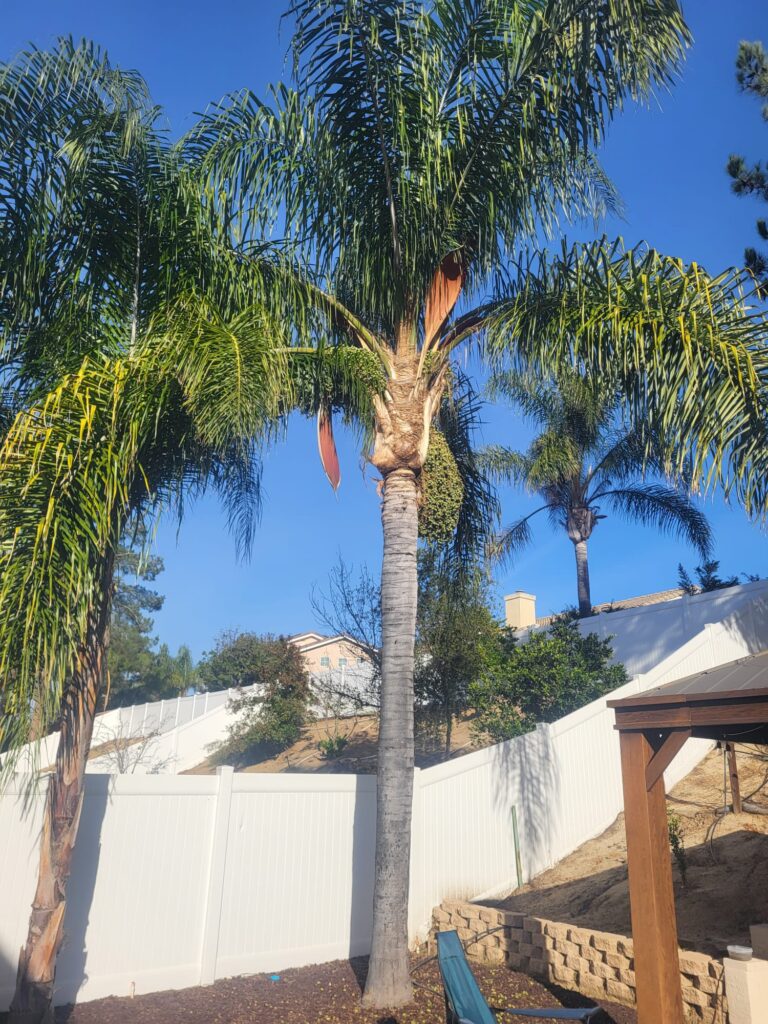 d66a8320 bd22 43a8 969a e75397b0dd2d