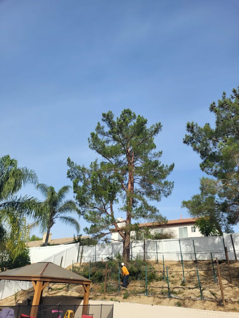 E4c30422 5307 49f3 88a5 9f5037681e29 768x1024