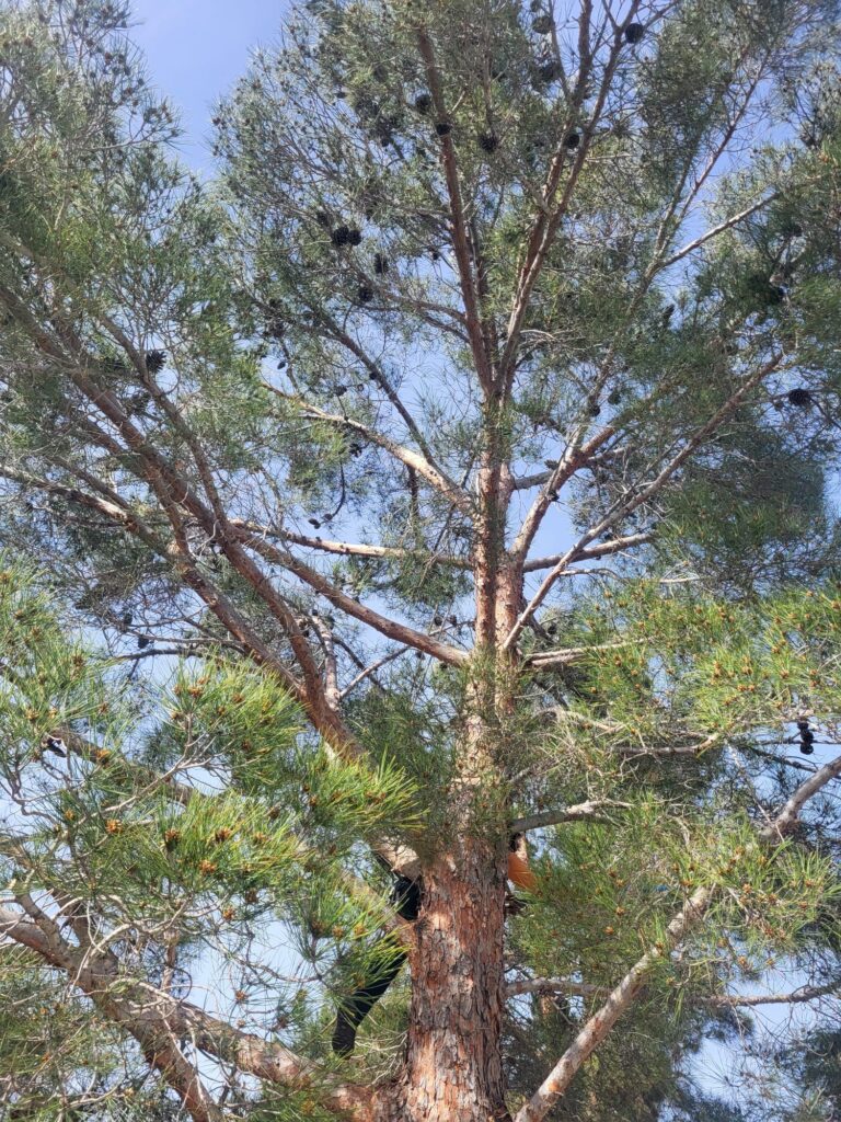 F08362f6 486e 4330 8977 51ba789760ee 768x1024