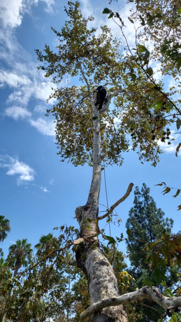 f5d3ed6f 72e9 44c6 863e 64b745df1828 2